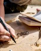Arvid and journal fossil quarry fossil butte