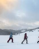 a group of people cross country skiing on snow in Cody Wyoming