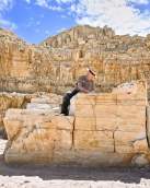 Arvid fossil quarry fossil butte