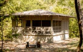 A cabin with screened in porch in a wooded area.