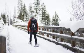 Snowshoeing at Myra Canyon Trestles