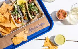 Barracuda
