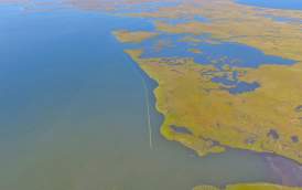 Coalition to Restore Coastal Louisiana - Oyster Shell Recycling Program - Wetlands
