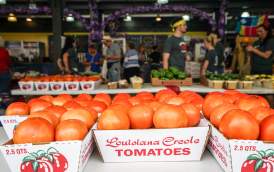 Louisiana Creole Tomatoes