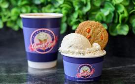 Sweet Spot Ice Cream