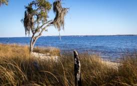 Goose Creek State Park