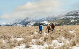 a group of people walking in a snowy field in Cody Wyoming