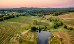 Aerial view of Stone Tower Winey estate