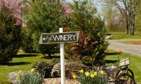 Fabbioli Winery sign