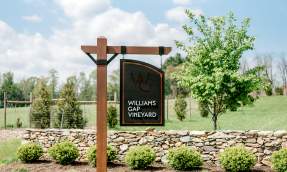 Entrance sign for Williams Gap Vineyard surrounded by stone wall and green grounds in Round Hill, Loudoun