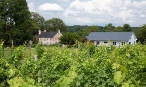 Grapevines in the foreground with the historic farmhouse and tasting barn at Zephaniah Farm Vineyard in Loudoun