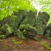 Rocks Nature Park
