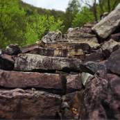 Steps Nature Park