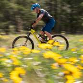 Spring 2025 Images: Mountain Biking at Knox Mountain Among Arrowleaf Balsamroot Flowers