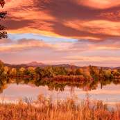 Golden Ponds