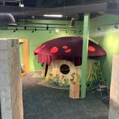 portion of the Longmont Museum's new children's area