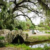 City Park