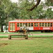 Canal Street Streetcar Passing A Biker in City Park