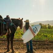 Waves to Wine Horse and surfboard by Vineyard