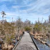 Goose Creek