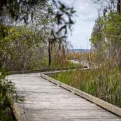 Goose Creek State Park - Flatty Creek Trail