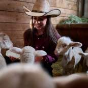 Taylor thoman with lambs