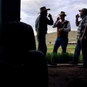 Men drinking whiskey