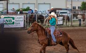 Photo of a female cattle roper on her horse rounding up her rope.