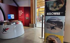 TOTA Summit Welcome Reception 4