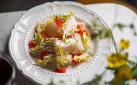 Junebug - Hakurei Turnip Ravigote