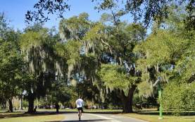 Running in Audubon Park