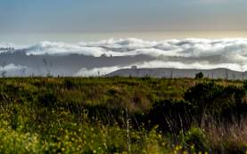 The San Francisco Peninsula