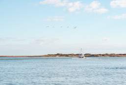 Your Guide to Labor Day Weekend in Port Aransas