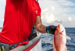 Your Guide to Snapper Season in Port Aransas
