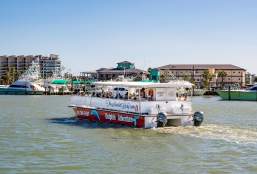 Cruise the Day Away