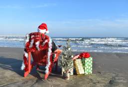 12 Days of Christmas Gifts in Port Aransas