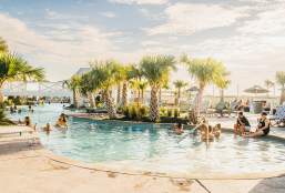 Pool or Beach?