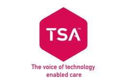 TSA logo