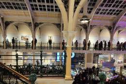 Things to do - BMAG
