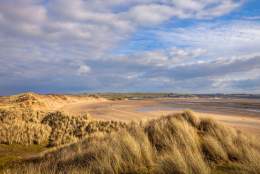 Braunton Burrows