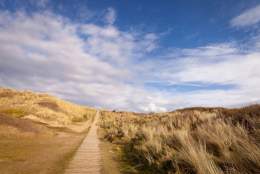 path through Braunton Burrows