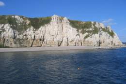 IMAGE OF BEER HEAD FROM THE SEA