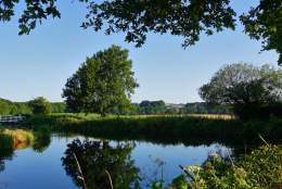 Tiverton