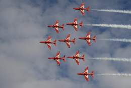What's on in Devon