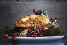 christmas turkey on a plate with cranberries