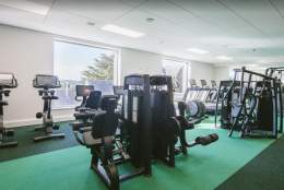 Bright gym with green and black flooring, featuring exercise bikes, treadmills, and various weight machines. Large windows bring in natural light.