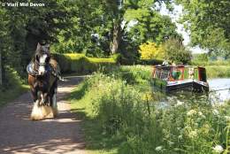 Great Western Canal