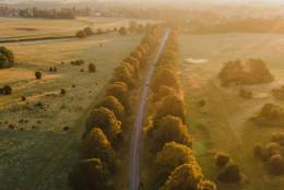A aerial shot of Beverley Westwood at sunrise