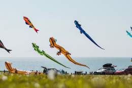 Kites flying in the sky at Bridlington Kite Festival in East Yorkshire