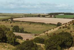 A view across the rolling hills of the Yorkshire Wolds in East Yorkshire.